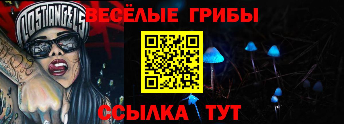 Псилоцибиновые грибы Cubensis Коломна